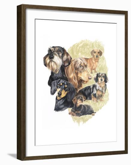 Dachshund-Barbara Keith-Framed Giclee Print