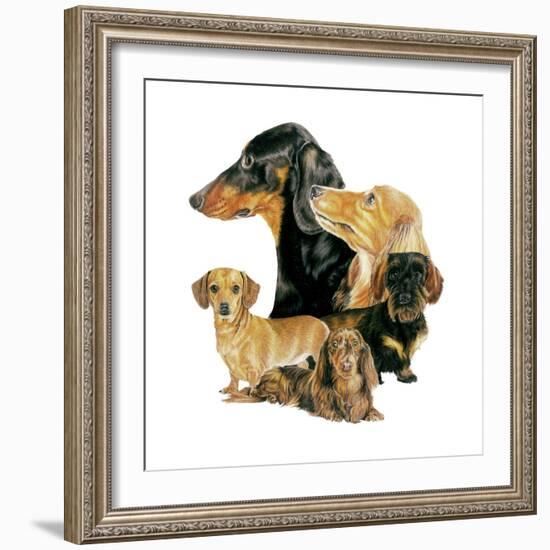 Dachshund-Barbara Keith-Framed Giclee Print