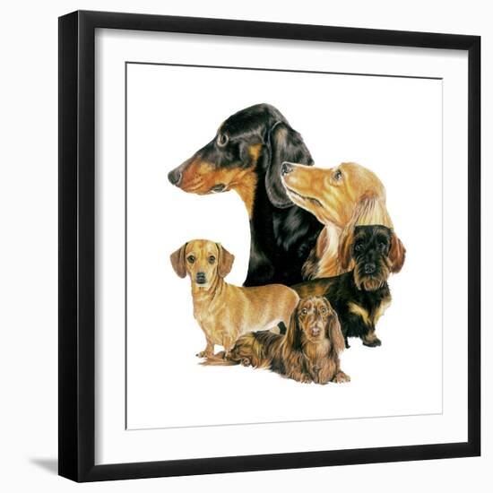 Dachshund-Barbara Keith-Framed Giclee Print