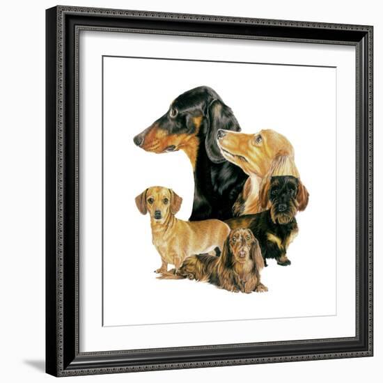 Dachshund-Barbara Keith-Framed Giclee Print