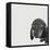 Dachshund-Emily Burrowes-Framed Stretched Canvas
