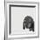 Dachshund-Emily Burrowes-Framed Premium Giclee Print