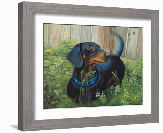 Dachshund-Tiffany Hakimipour-Framed Art Print