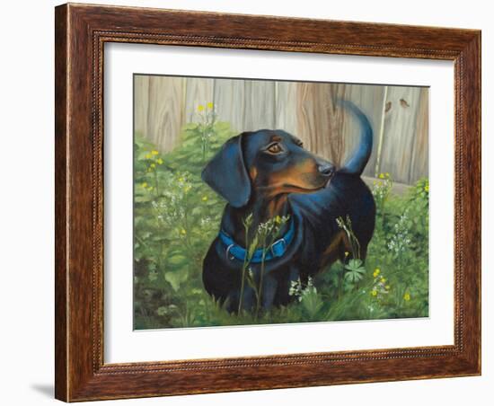 Dachshund-Tiffany Hakimipour-Framed Art Print