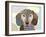 Dachshund-Adefioye Lanre-Framed Giclee Print