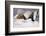 Dachshunds in Bed a Marriage of Convenience-null-Framed Photographic Print