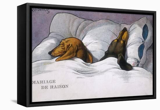 Dachshunds in Bed a Marriage of Convenience-null-Framed Premier Image Canvas