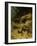 Dachshunds on a Badger, 1882-Guido von Maffei-Framed Giclee Print