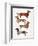 Dachshunds-Cat Coquillette-Framed Art Print