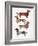 Dachshunds-Cat Coquillette-Framed Art Print