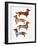 Dachshunds-Cat Coquillette-Framed Art Print