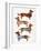 Dachshunds-Cat Coquillette-Framed Art Print