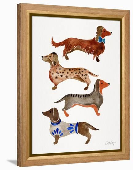 Dachshunds-Cat Coquillette-Framed Stretched Canvas
