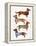 Dachshunds-Cat Coquillette-Framed Stretched Canvas