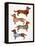 Dachshunds-Cat Coquillette-Framed Stretched Canvas