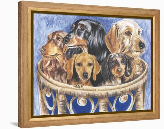 Dachsund in a Basket-Barbara Keith-Framed Premier Image Canvas