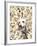 Dachsund in Daisies-Barbara Keith-Framed Giclee Print