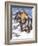 Dachsund in Snow-Barbara Keith-Framed Giclee Print