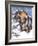 Dachsund in Snow-Barbara Keith-Framed Giclee Print