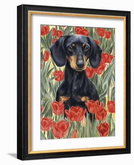 Dachsund in Tulips-Barbara Keith-Framed Giclee Print