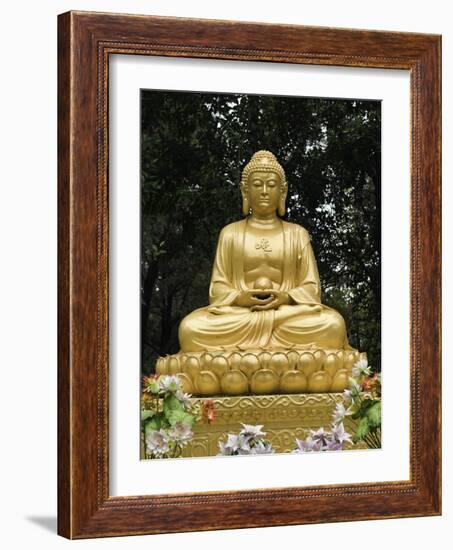 Dacien Buddhist Temple, Xian, China-Danny Lehman-Framed Photographic Print