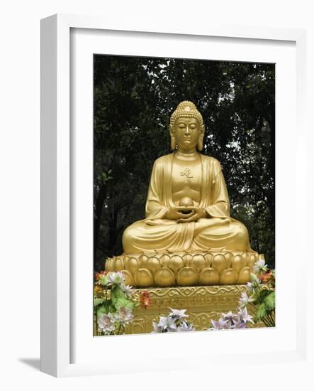 Dacien Buddhist Temple, Xian, China-Danny Lehman-Framed Photographic Print