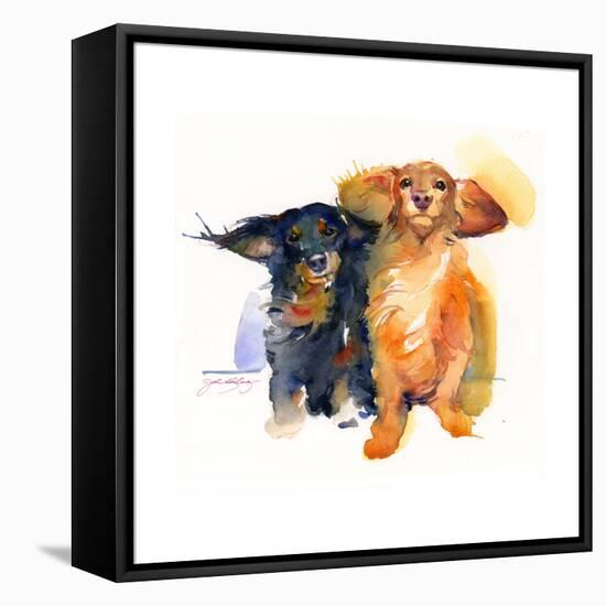 Dacshund Duo, 2014-John Keeling-Framed Premier Image Canvas