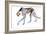 Daddy Long Legs, 2022, (mixed media on paper)-Mark Adlington-Framed Giclee Print