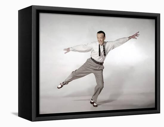 Daddy Long Legs (photo)-null-Framed Stretched Canvas