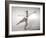 Daddy Long Legs (photo)-null-Framed Photo