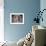 Daddy Long Legs (photo)-null-Framed Photo displayed on a wall