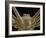 Daddy Long Legs Spider, SEM-Thomas Deerinck-Framed Photographic Print