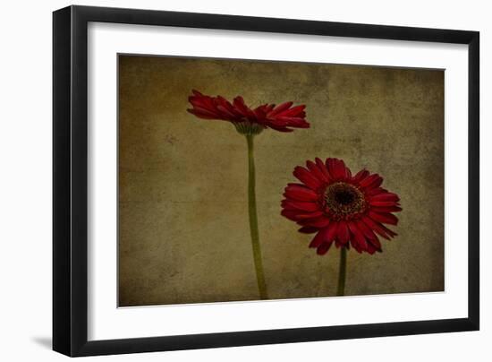 Daddy’s Flower II-Barbara Simmons-Framed Giclee Print