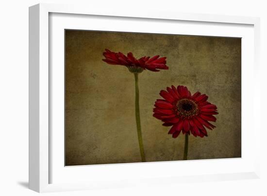 Daddy’s Flower II-Barbara Simmons-Framed Giclee Print