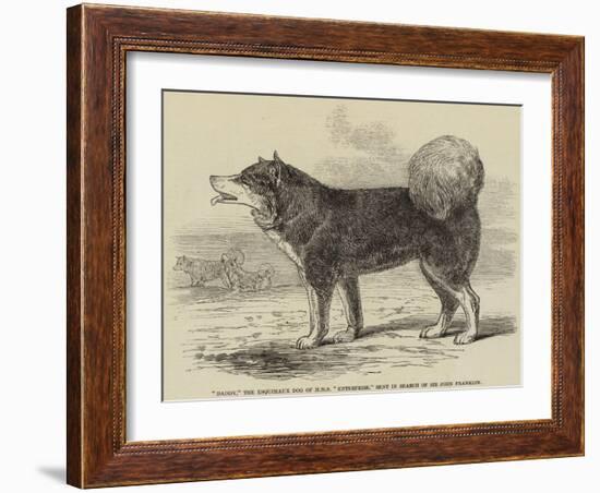 Daddy, the Esquimaux Dog of HMS Enterprise, Sent in Search of Sir John Franklin-null-Framed Giclee Print