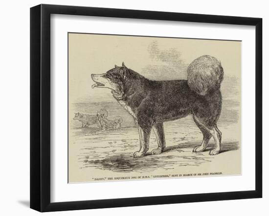 Daddy, the Esquimaux Dog of HMS Enterprise, Sent in Search of Sir John Franklin-null-Framed Giclee Print