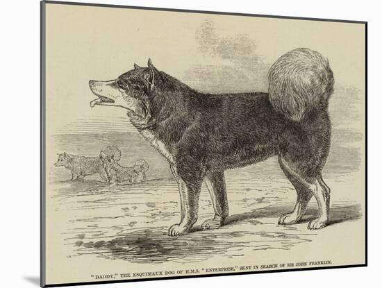 Daddy, the Esquimaux Dog of HMS Enterprise, Sent in Search of Sir John Franklin-null-Mounted Giclee Print