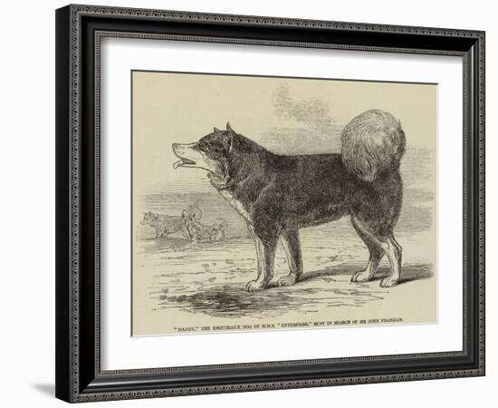 Daddy, the Esquimaux Dog of HMS Enterprise, Sent in Search of Sir John Franklin-null-Framed Giclee Print