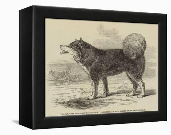 Daddy, the Esquimaux Dog of HMS Enterprise, Sent in Search of Sir John Franklin-null-Framed Premier Image Canvas