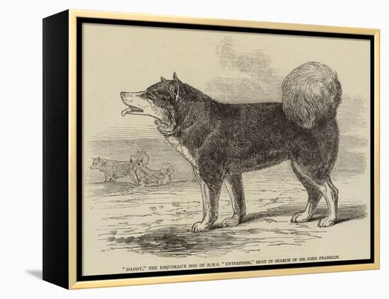 Daddy, the Esquimaux Dog of HMS Enterprise, Sent in Search of Sir John Franklin-null-Framed Premier Image Canvas