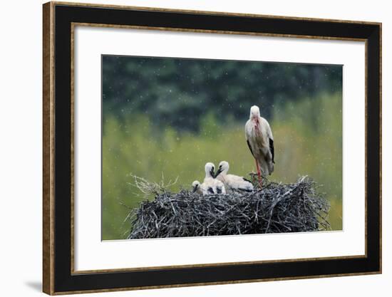 Dady...-Nicolás Merino-Framed Photographic Print