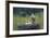 Dady...-Nicolás Merino-Framed Photographic Print