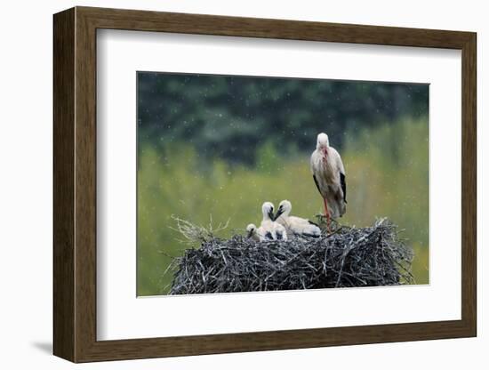 Dady...-Nicolás Merino-Framed Photographic Print