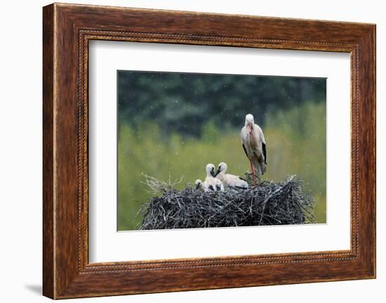 Dady...-Nicolás Merino-Framed Photographic Print