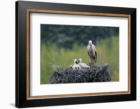 Dady...-Nicolás Merino-Framed Photographic Print