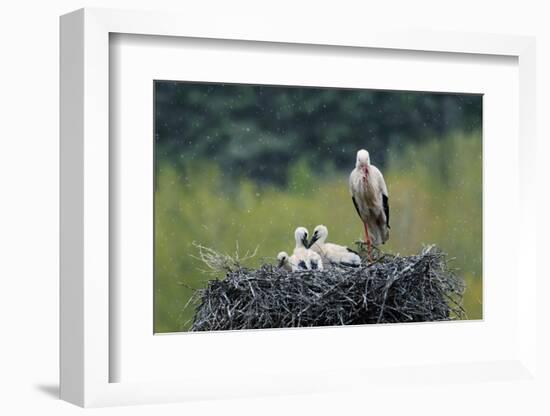 Dady...-Nicolás Merino-Framed Photographic Print