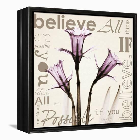 Daffodil Believe-Albert Koetsier-Framed Stretched Canvas