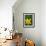 Daffodil Blooms-Anna Miller-Framed Photographic Print displayed on a wall