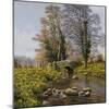 Daffodil Bridge-Bill Makinson-Mounted Giclee Print