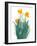 Daffodil Bunch I-Jacob Green-Framed Art Print
